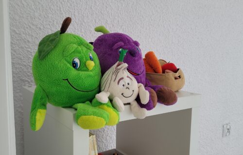 zajęcia